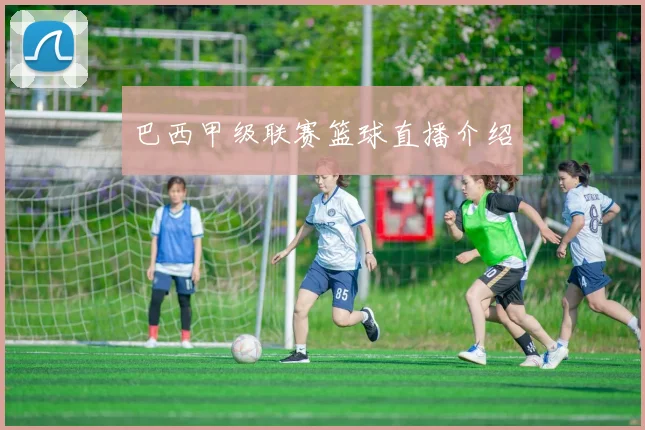 巴西甲级联赛篮球直播介绍